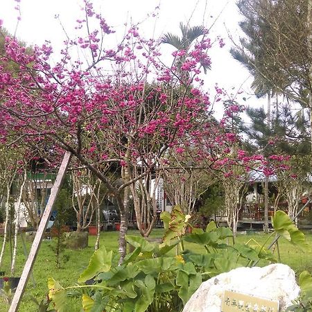Sun Moon Lake Wild Flower Bed and Breakfast Yuchi Exterior foto