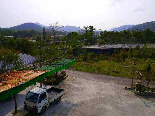 Sun Moon Lake Wild Flower Bed and Breakfast Yuchi Exterior foto
